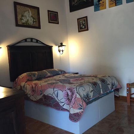 Bandita Margarita Hotel מראה חיצוני תמונה