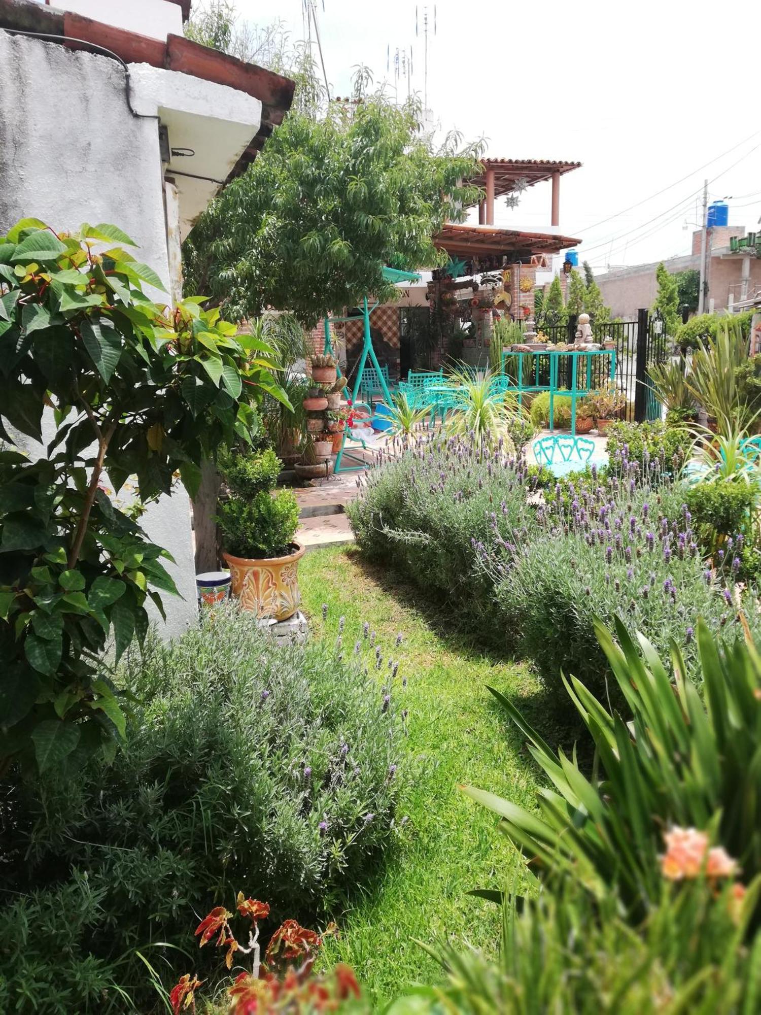 Bandita Margarita Hotel מראה חיצוני תמונה